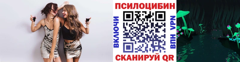 Галлюциногенные грибы Psilocybe  Заволжье 